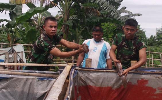 Yuk Tiru Anggota TNI Berdayakan Lahan Kosong - denhubdivif1-budidayalele.jpg