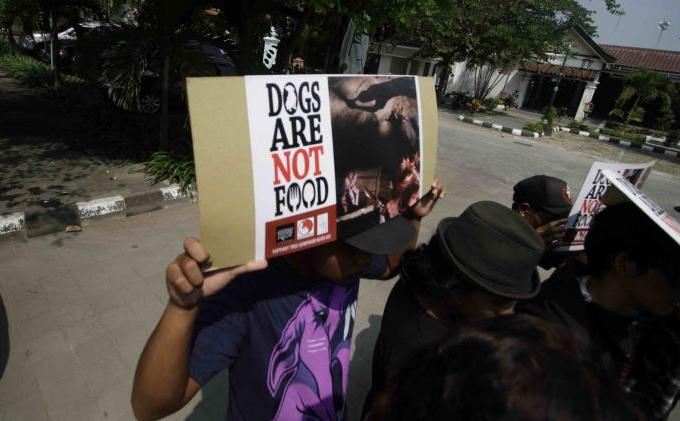 Personel Band Shaggydog Aksi Setop Konsumsi Anjing - 20140508SAN011.JPG