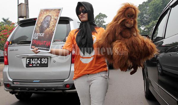 Kampanye Hentikan Pembantaian Orangutan