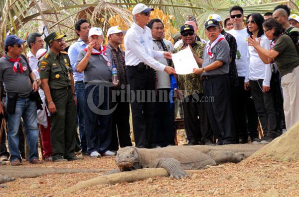 Komodo Merupakan Keajaiban Dunia