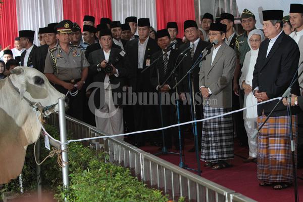 Presiden Dan Wakil Presiden Serahkan Sapi Kurban