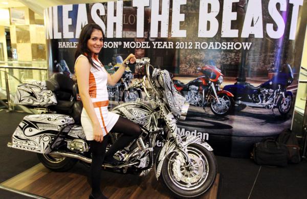 Harley Davidson 2011