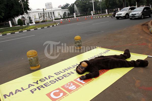 Desak Presiden Usut Pembantaian Orangutan
