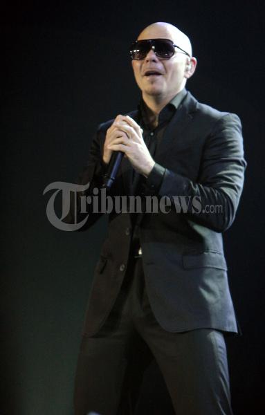 Pitbull 2011