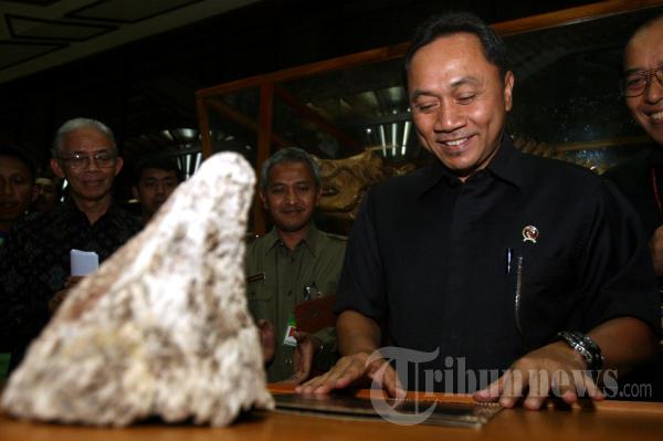 Menhut Serah Terima Kerangka Badak Jawa