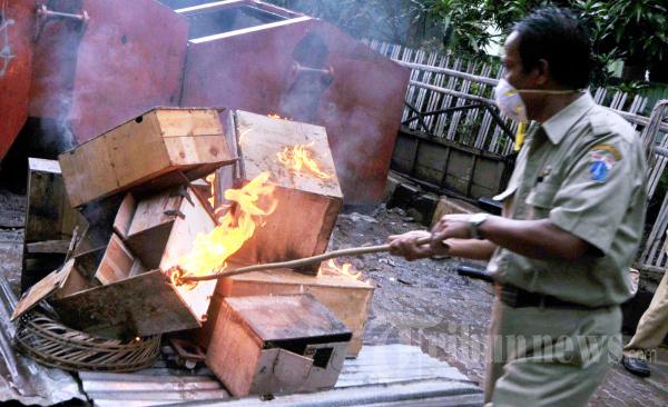 Petugas Sudin Musnahkan Unggas Warga