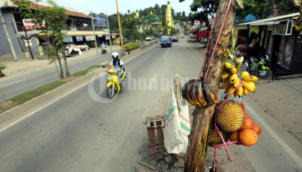 Pohon Pisang Berbuah Durian dan Apel