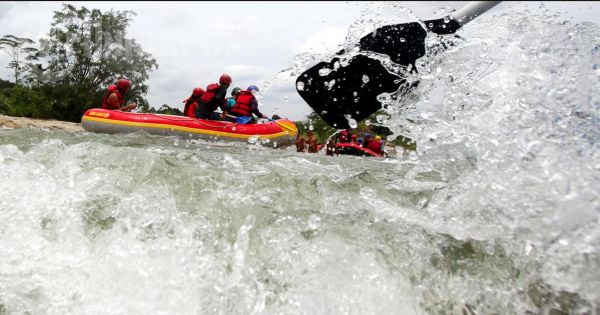 Olahraga Arung Jeram di Sungai Buaya SUMUT