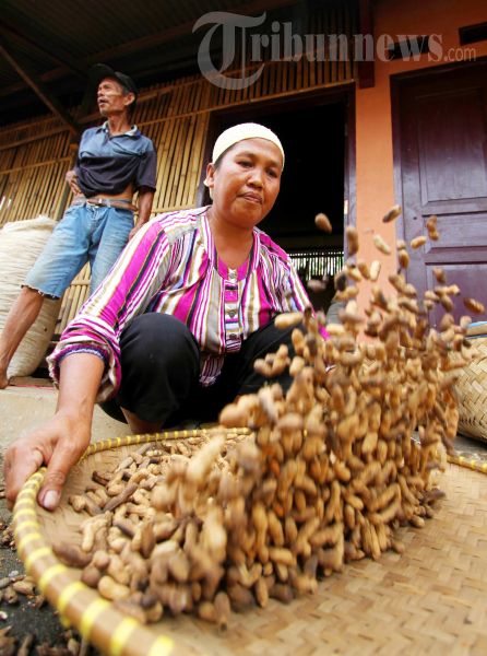 UMKM Terancam Kenaikan BBM