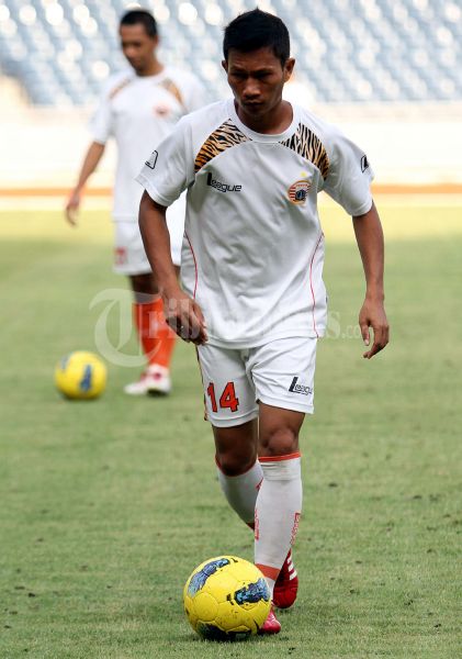 Ismed Sofyan