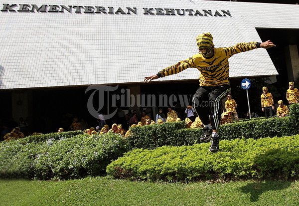 Green Peace Lindungi Harimau Sumatera