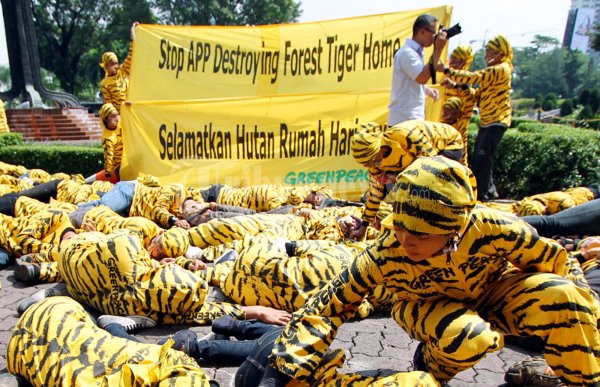 Green Peace Selamatkan Harimau Sumatera