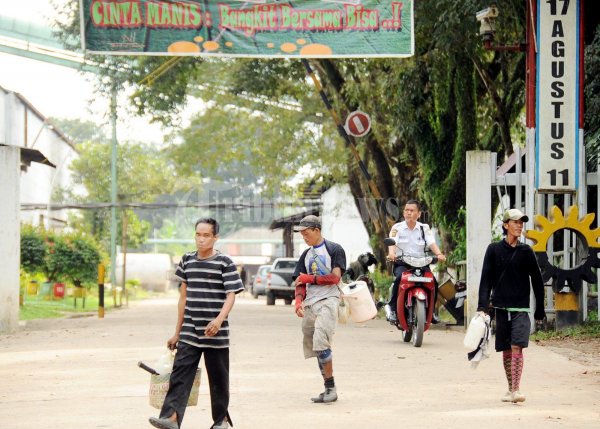 Aktivitas Pabrik Gula Cinta Manis Berjalan Normal