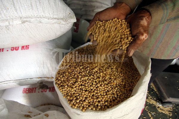 Harga Kedelai Melambung