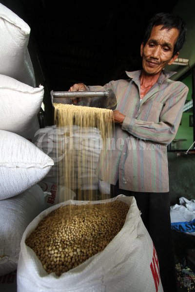 Harga Kedelai Melambung