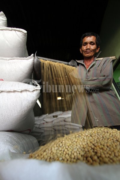 Harga Kedelai Melambung