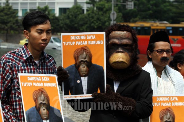 Tutup Pasar Burung Di Jakarta