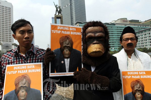 Tutup Pasar Burung Di Jakarta