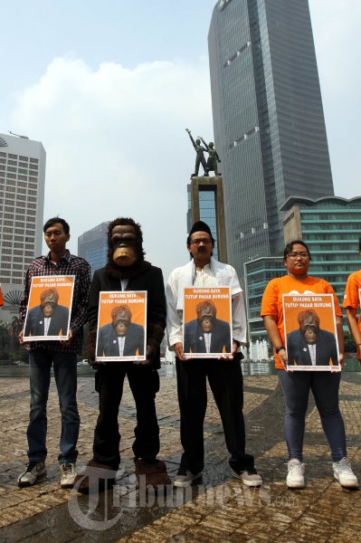 Tutup Pasar Burung Di Jakarta