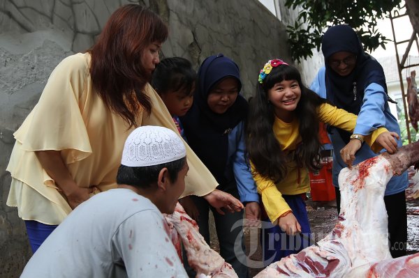 Amel Carla