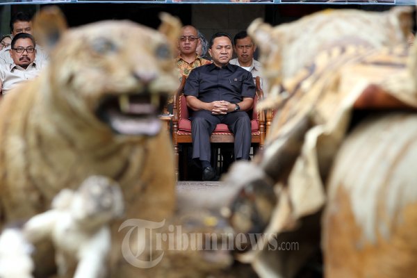 Pemusnahan Barbuk Opset Satwa Liar