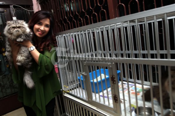 Ismarindayani Priyanti Istri Roy Suryo