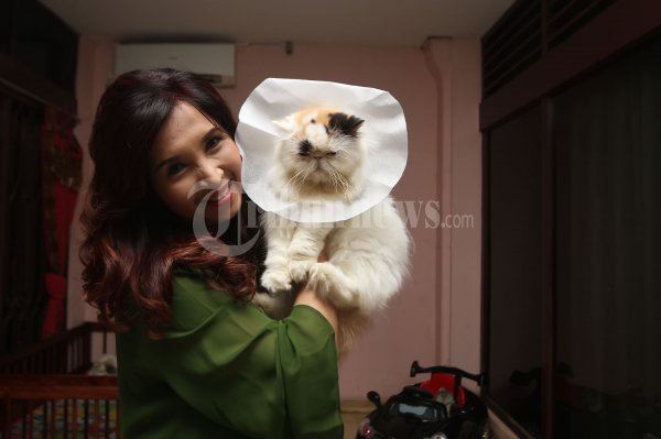 Ismarindayani Priyanti Istri Roy Suryo