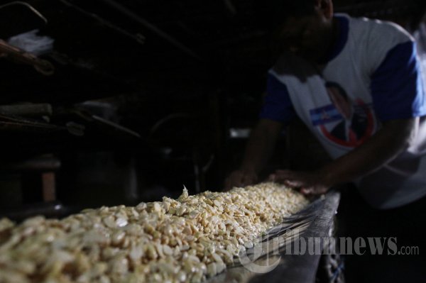 Menjaga Harga Kedelai Nasional