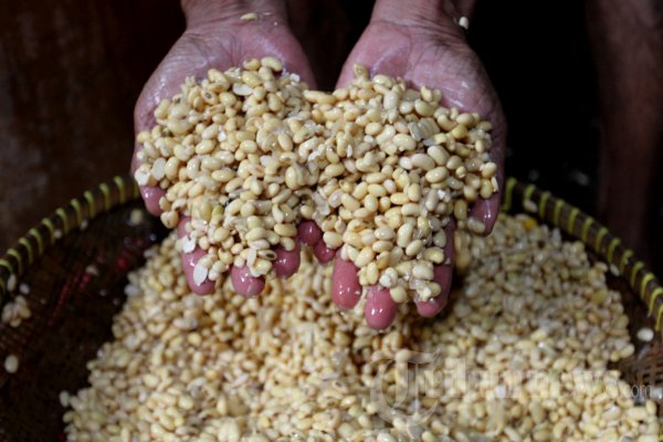 Menjaga Harga Kedelai Nasional