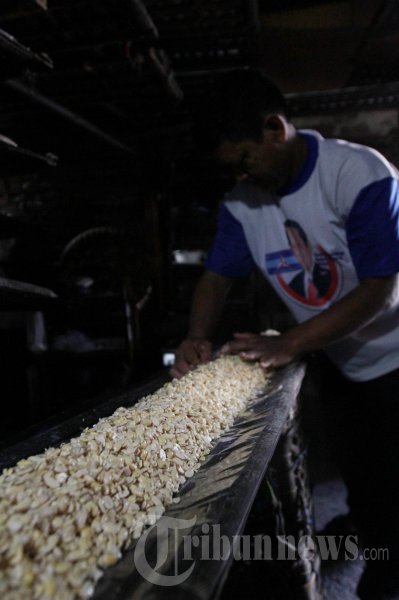Menjaga Harga Kedelai Nasional