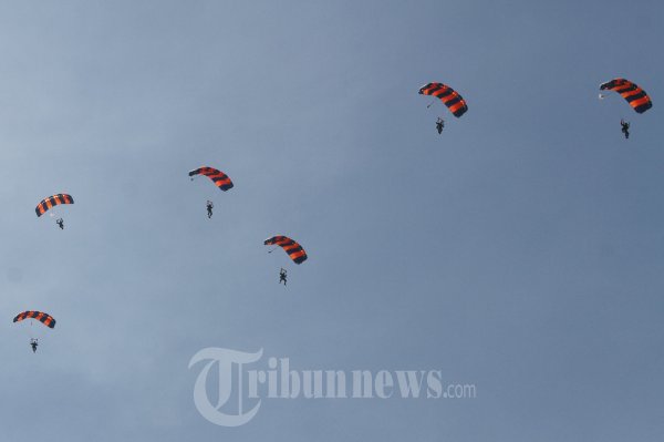 HUT TNI AU ke 67