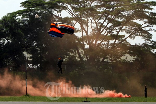 HUT TNI AU ke 67