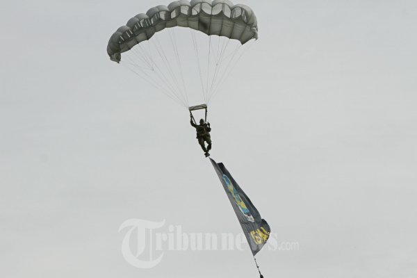 HUT TNI AU ke 67