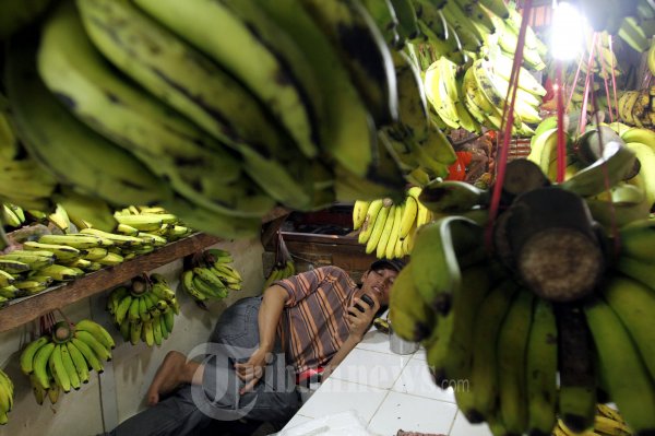 Dukung Buah Lokal