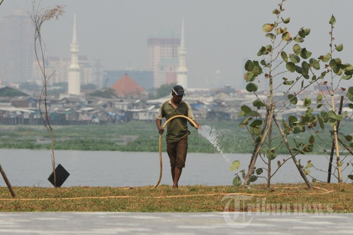 Taman Waduk Pluit