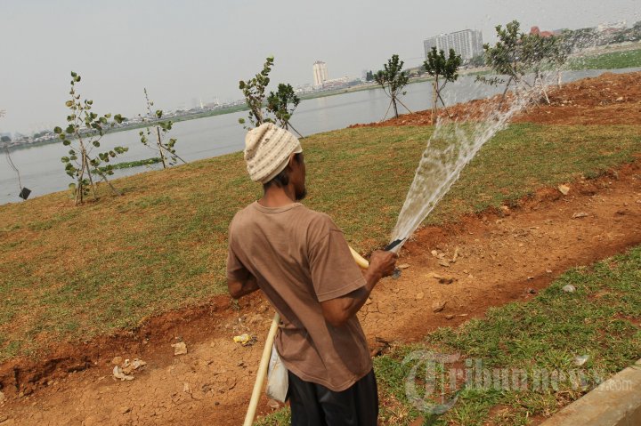 Taman Waduk Pluit