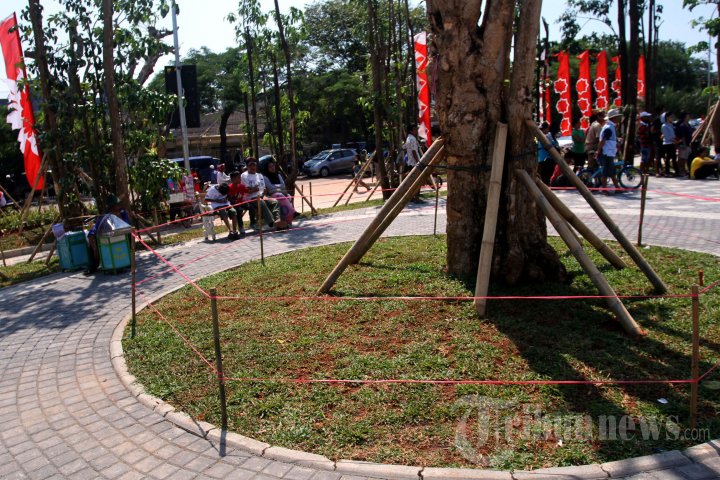 Taman Waduk Pluit