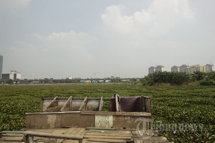 Normalisasi Waduk Ria Rio