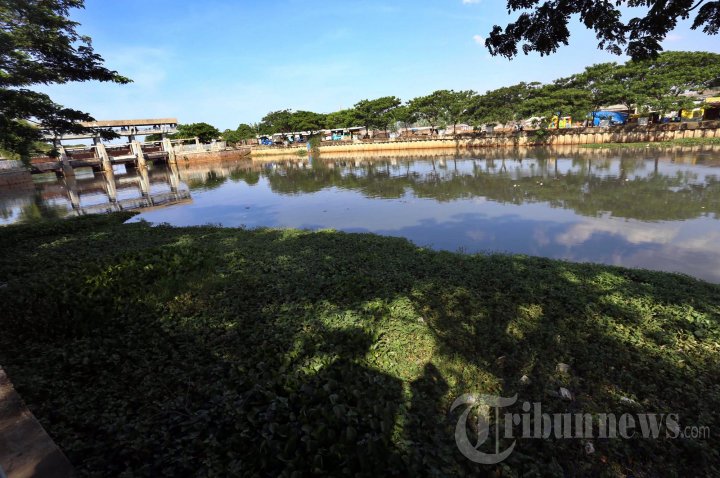 209 Miliar Rupiah Untuk Keruk Cengkareng Drain