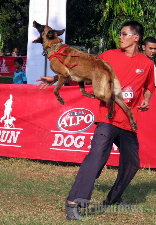 Alpo Dog Run
