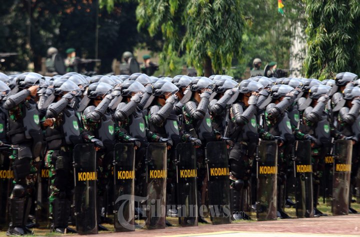 Apel TNI Jelang Pilpres 2014