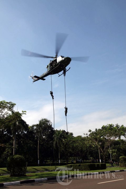 TNI Kawal Pilpres 2014 Dengan Aman