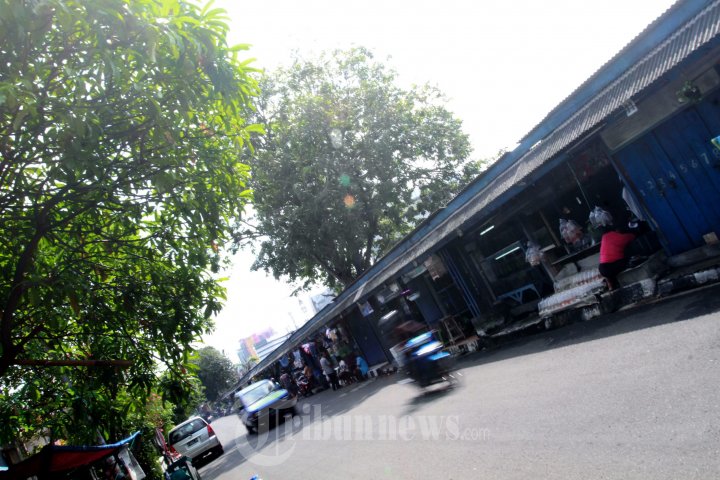 Pasar Ikan Hias Kartini Akan Direlokasi