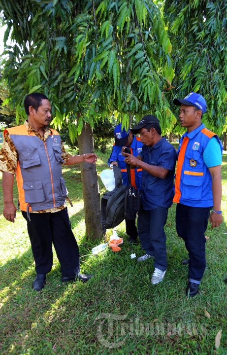 Razia PMKS di Monas Jakarta