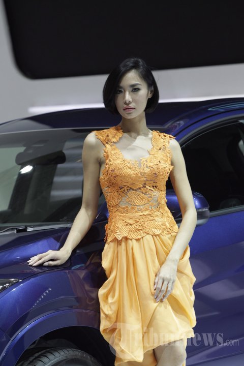 SPG di IIMS 2014