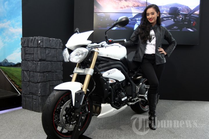 Moge Triumph di IIMS 2014