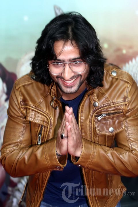 Shaheer Sheikh - Arjuna pada Film Mahabharata