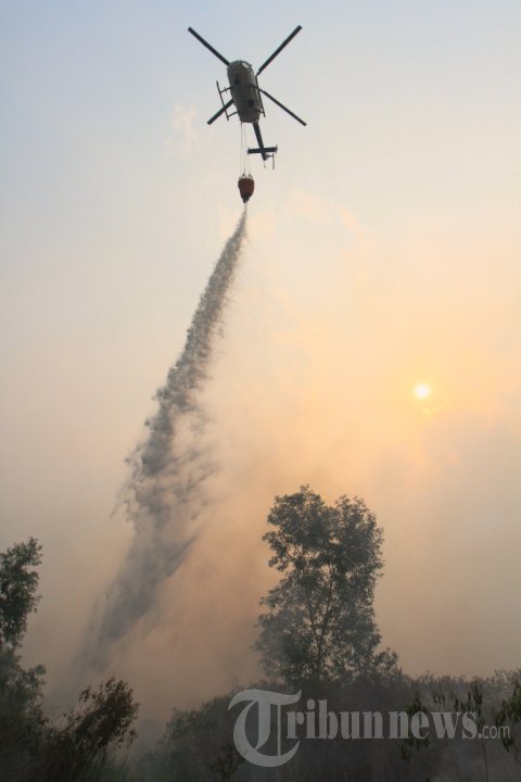 Kebakaran Lahan di Palembang