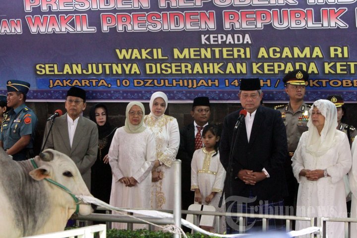 Presiden SBY dan Wapres Boediono Serahkan Hewan Kurban