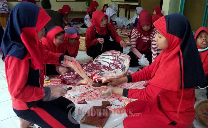 Pemotongan Hewan Kurban